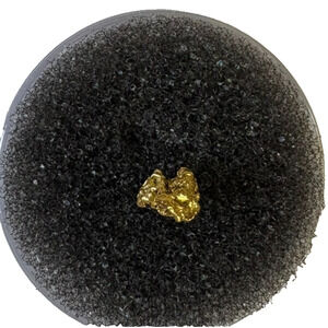 Natural Alaskan Gold Nugget Raw Hand Picked .221 grams Specimen Collectible